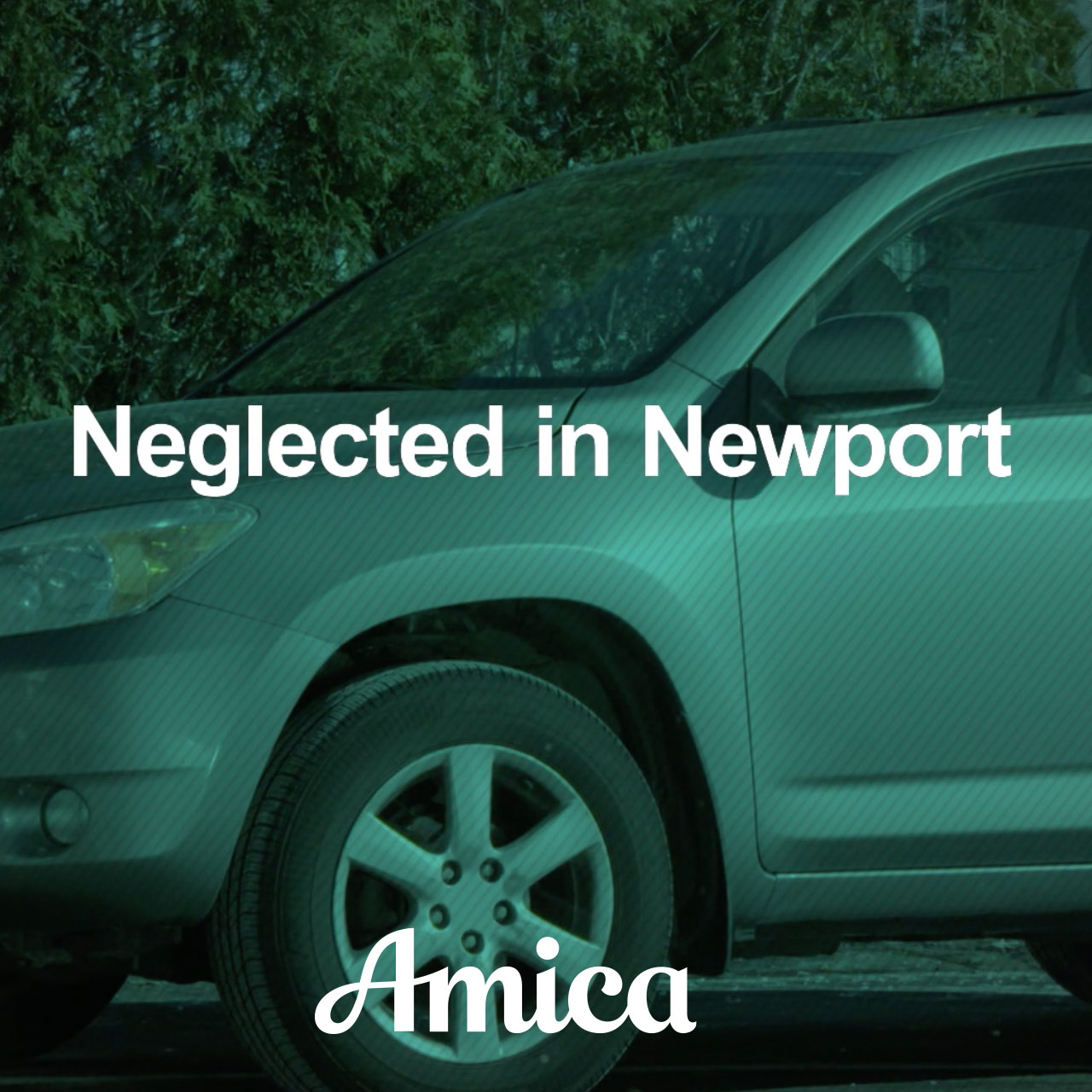 amica commercial
